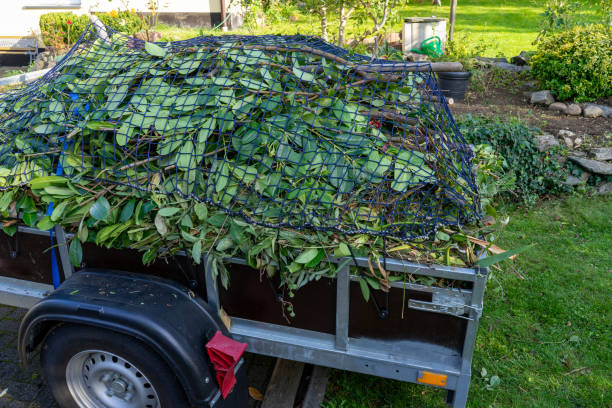 Best Carpet Removal and Disposal  in Victoria, MN